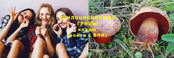 ECSTASY Зеленокумск