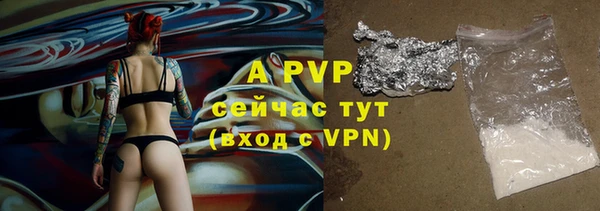 амф Зерноград